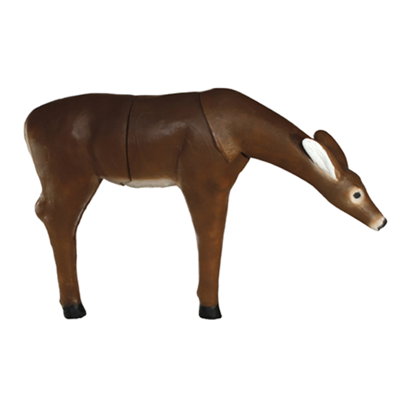 Chevreuil penché